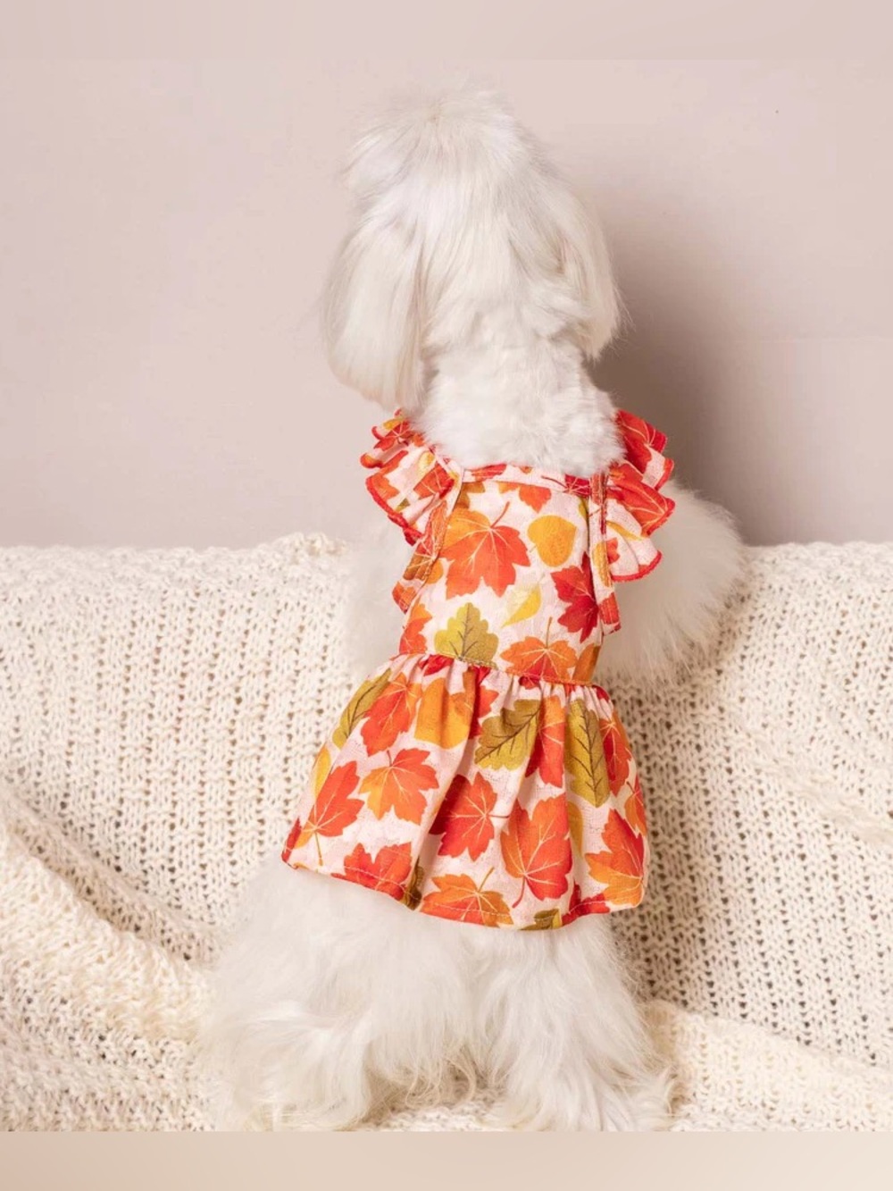 NEW FITWARM MAPLE RUFFLE DOG DRESS - Picture 3 of 9